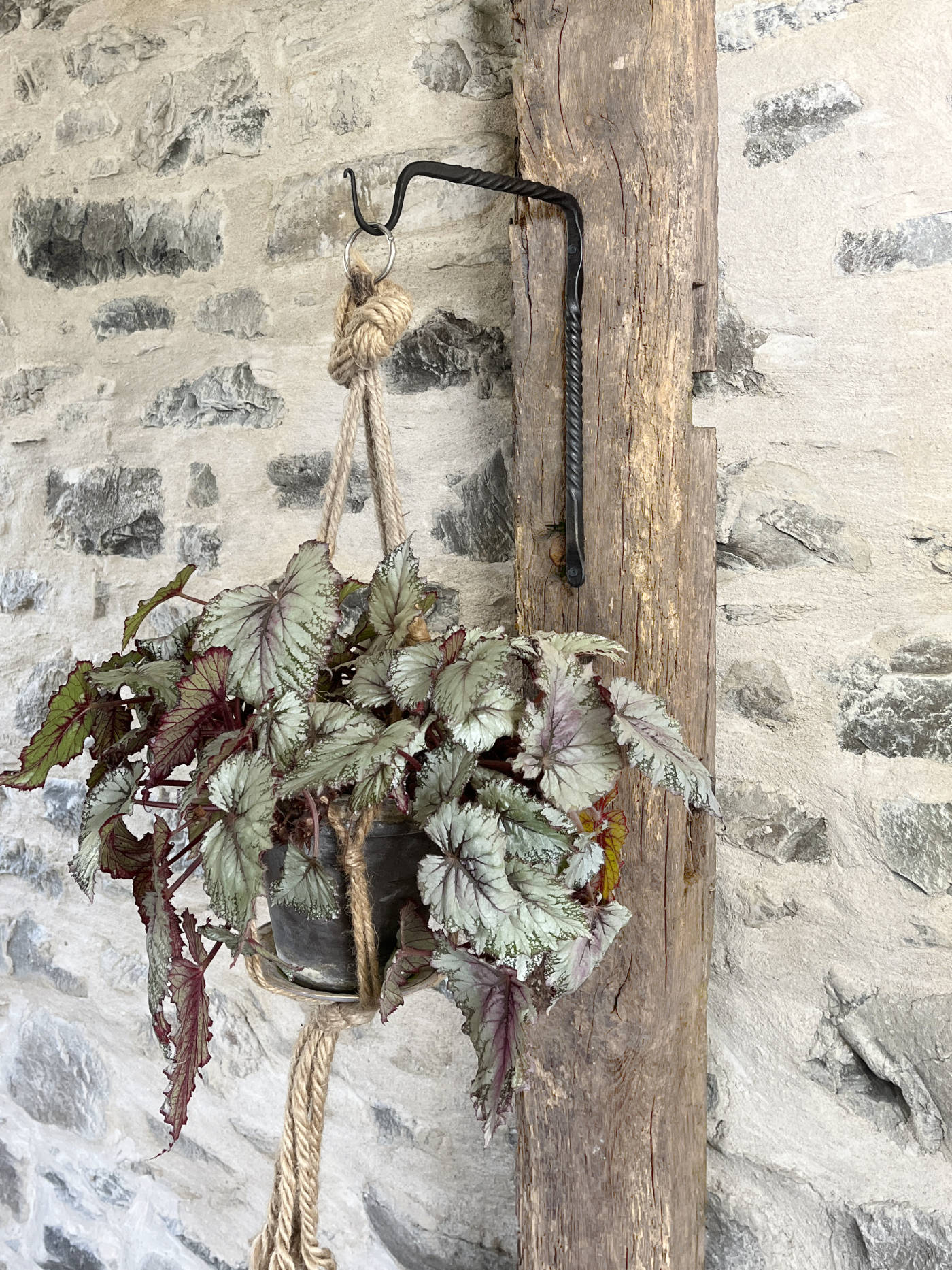 Minimal Twist Plant Hanger