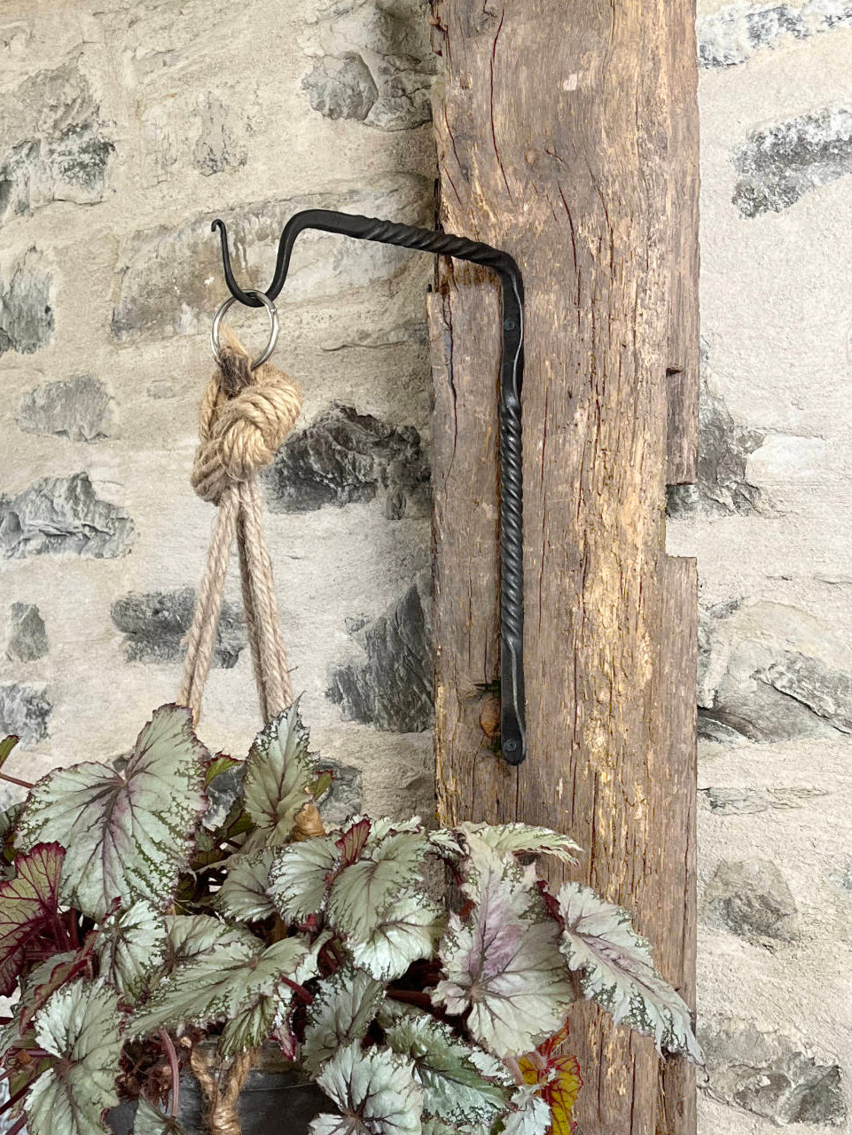 Hanging plant with a rustic hook against a stone wall