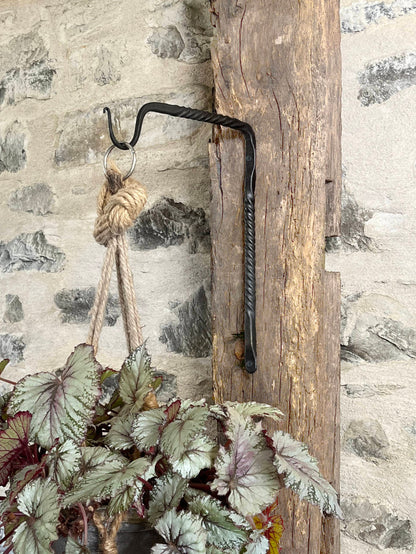 Hanging plant with a rustic hook against a stone wall