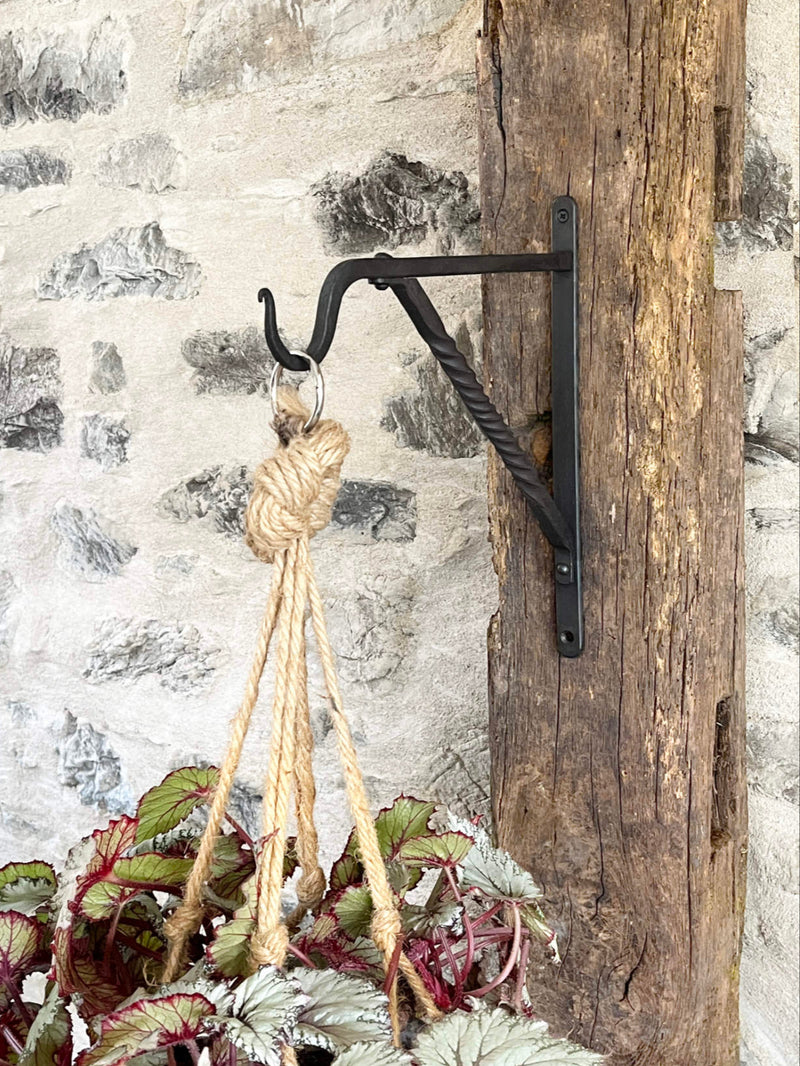 Hanging plant with a black metal hook against a stone wall.